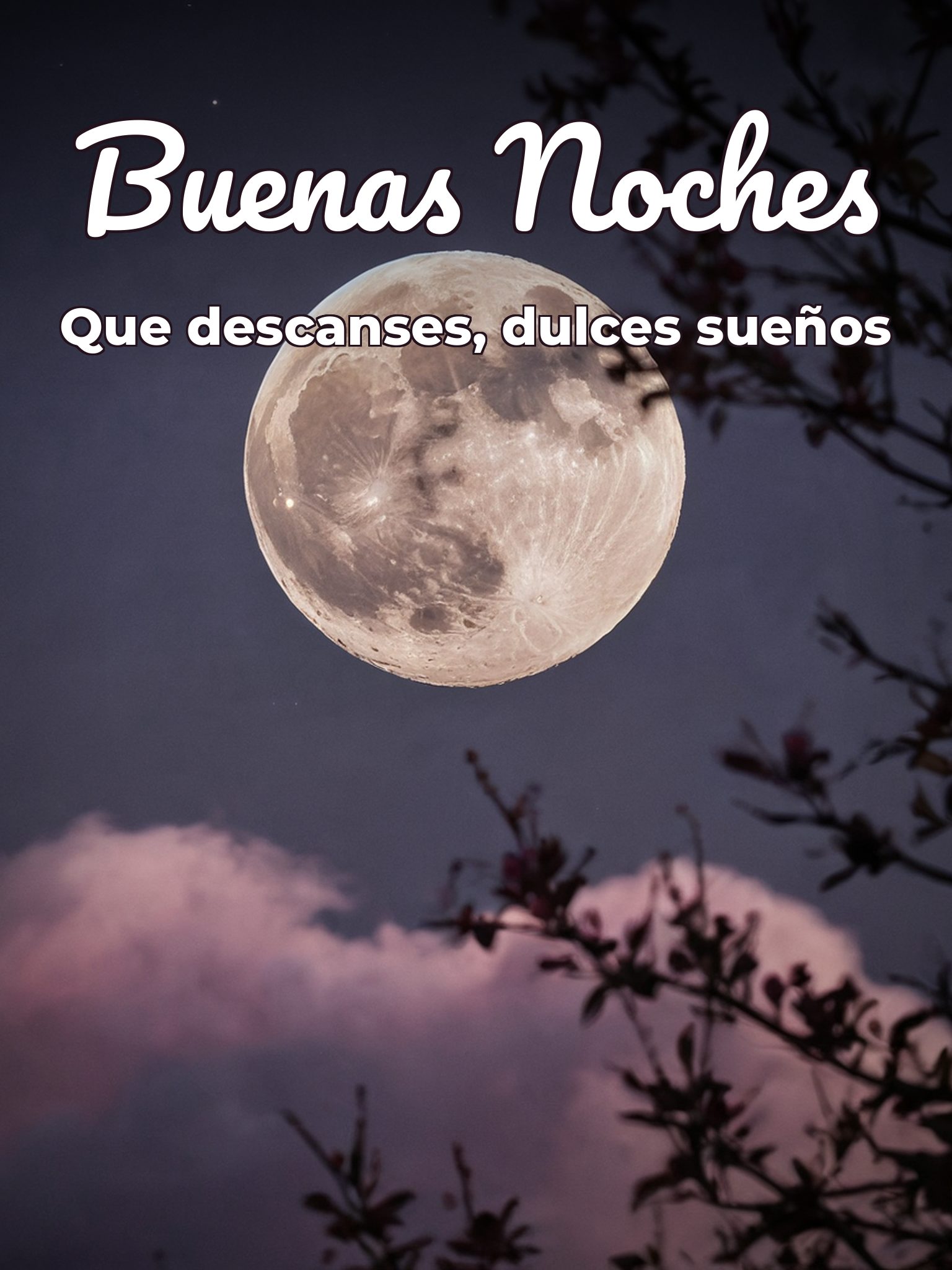 Fotos de buenas noches originales para celular