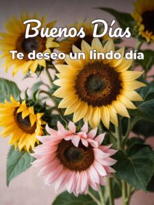 Fotos de buenos días de amistad para una amiga