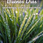 buenos días que tengas un día maravilloso