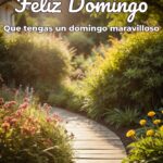 feliz domingo que tengas un domingo maravilloso