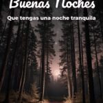 buenas noches que tengas una noche tranquila