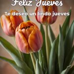feliz jueves te deseo un lindo jueves