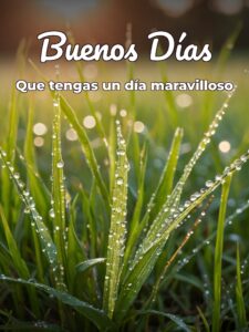 Fotos de mensajes de buenos días para descargar