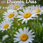 buenos días empieza tu día con alegría