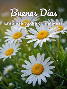 Fotos de muy buenos días