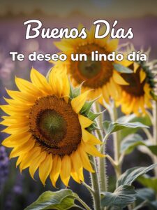 Fotos de muy buenos días para WhatsApp