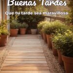 buenas tardes que tu tarde sea maravillosa