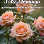 feliz domingo que tengas un domingo maravilloso