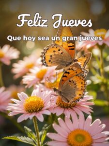 Fotos feliz jueves para WhatsApp