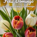 feliz domingo que dios bendiga tu domingo