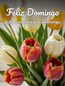 Fotos graciosas de domingo para celular