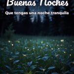 buenas noches que tengas una noche tranquila