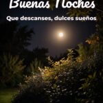 buenas noches que descanses, dulces sueños