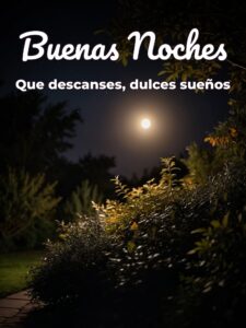 Fotos para decir buenas noches para WhatsApp