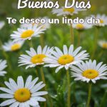 buenos días te deseo un lindo día
