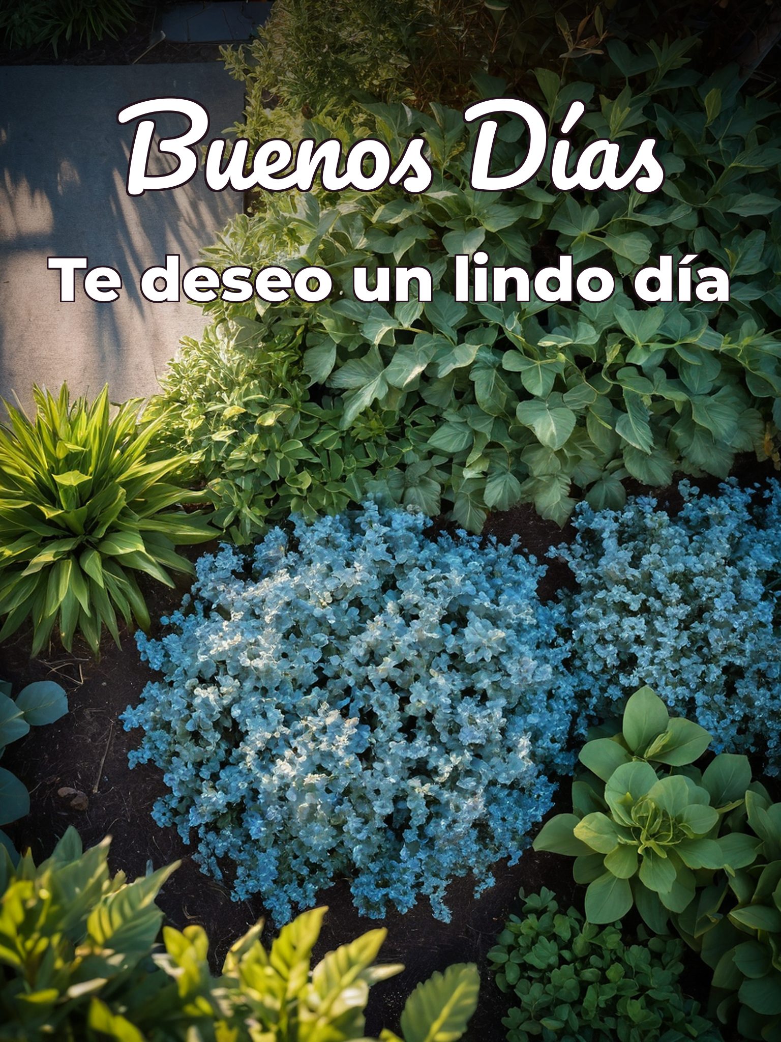 Fotos para los buenos días para una amiga