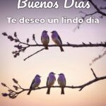 buenos días te deseo un lindo día