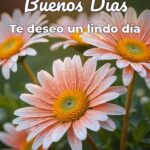 buenos días te deseo un lindo día