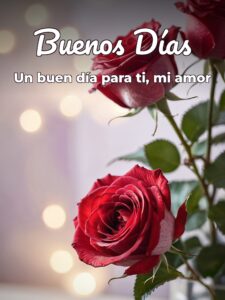 Frase para dar los buenos días a un amor para WhatsApp
