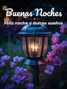 Frases bellas de buenas noches para WhatsApp