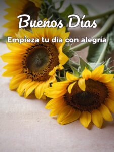 Frases bellas de buenos días