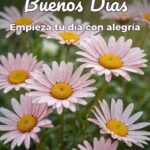 buenos días empieza tu día con alegría