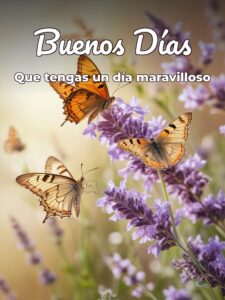Frases bonitas con imágenes de buenos días para descargar