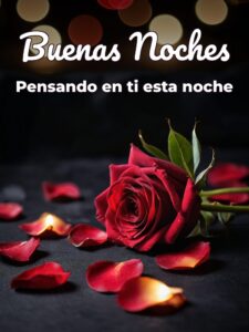 Frases bonitas de amor de buenas noches