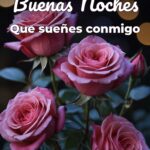 buenas noches que sueñes conmigo