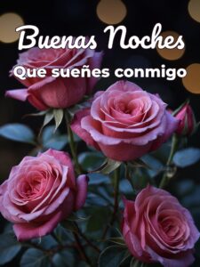 Frases bonitas de amor de buenas noches para celular