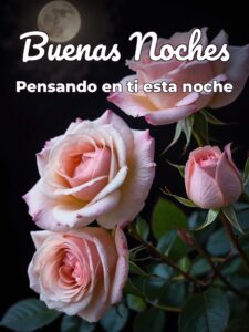 Frases bonitas de amor de buenas noches para Facebook