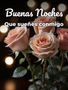 Frases bonitas de buenas noches mi amor para Facebook