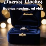 buenas noches buenas noches, mi vida