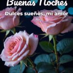 buenas noches dulces sueños, mi amor
