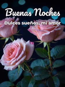 Frases bonitas de buenas noches para mi novia