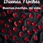 buenas noches buenas noches, mi vida