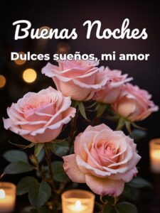 Frases bonitas de buenas noches para mi novio para WhatsApp