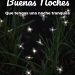 buenas noches que tengas una noche tranquila