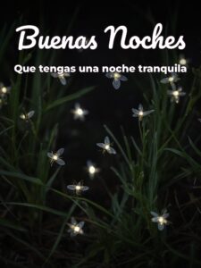 Frases bonitas de buenas noches para una mujer