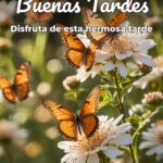 buenas tardes disfruta de esta hermosa tarde