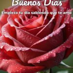 buenos días empieza tu día sabiendo que te amo