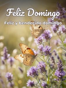 Frases bonitas de domingo para celular