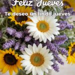feliz jueves te deseo un lindo jueves