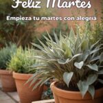 feliz martes empieza tu martes con alegría