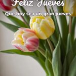 feliz jueves que hoy sea un gran jueves