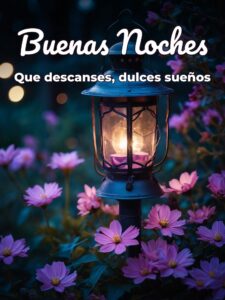 Frases bonitas para dar las buenas noches