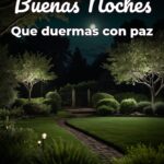 buenas noches que duermas con paz