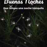 buenas noches que tengas una noche tranquila