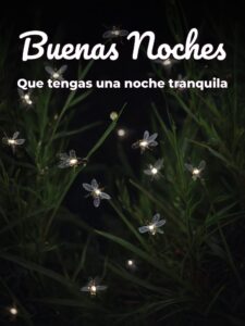 Frases bonitas para dar las buenas noches para WhatsApp