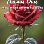 buenos días empieza tu día sabiendo que te amo